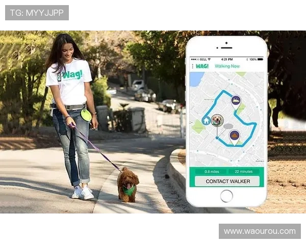 掌握agapp官方最新版本更新内容提升游戏体验的实用技巧